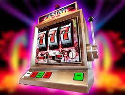 5566win